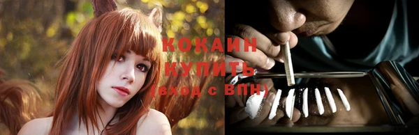 молекула духа Белокуриха