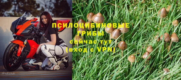хмурый Белоозёрский