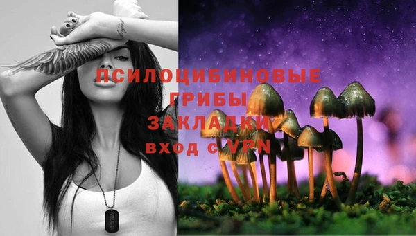 хмурый Белоозёрский
