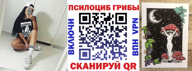 закладка  Кущёвская  Псилоцибиновые грибы MAGIC MUSHROOMS 