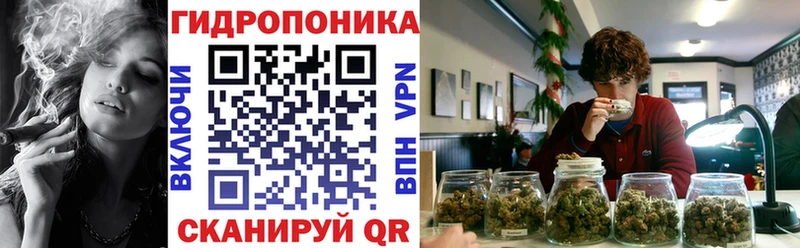 Марихуана Bruce Banner Кущёвская